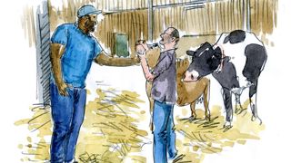 Le judoka Teddy Riner a visité l’élevage de Sébastien Delva, agriculteur à Inchy, dans le Nord. Le judoka Teddy Riner a visité l’élevage de Sébastien Delva, agriculteur à Inchy, dans le Nord.
